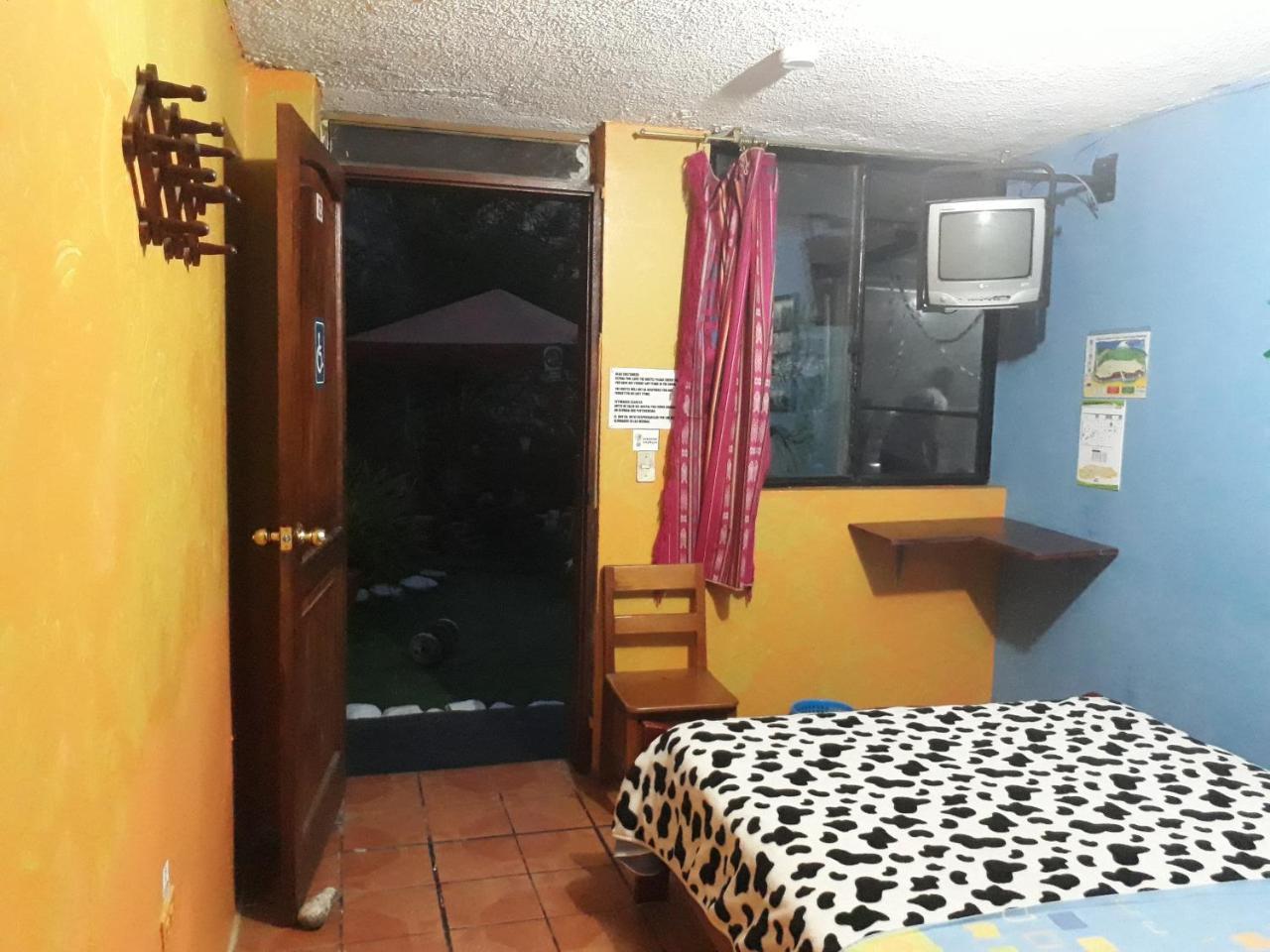 Transilvania Baños Dış mekan fotoğraf